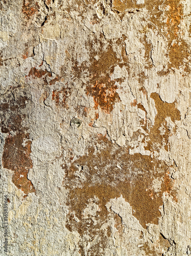 Texture of the old wall. Vertical image