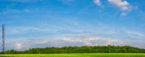Green field under blue clouds sky