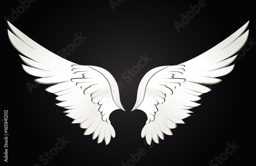 Wings. Vector illustration on white background. Black and white style