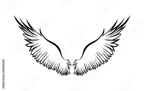 Wings. Vector illustration on white background. Black and white style. Linocut.