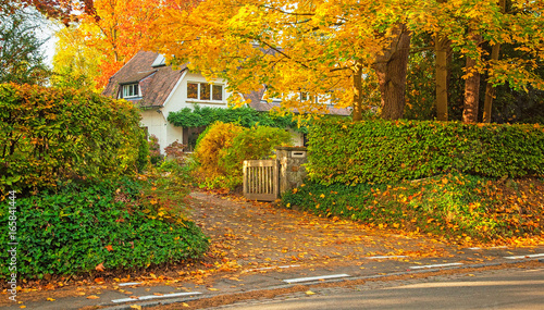House with nice garden in autumn