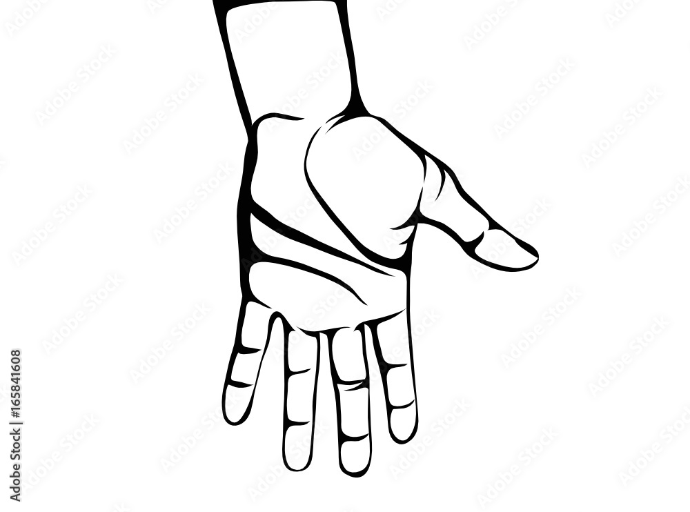 Gesture open palm. Hand gives or receives. Contour graphic style. Black and white. Vector illustration on white background. Empty space for advertising Gesture open palm. Hand gives or receives. Contour graphic style. Black and white. Vector illustration on white background. Empty space for advertising
