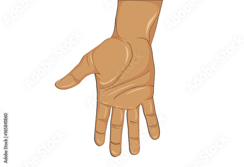 Gesture open palm. Hand gives or receives. Vector illustration