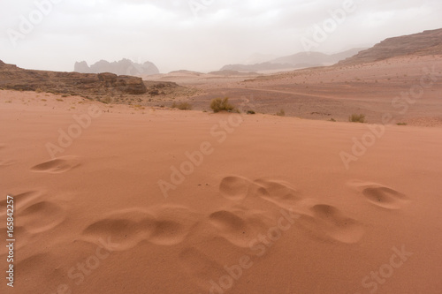 wadi rum