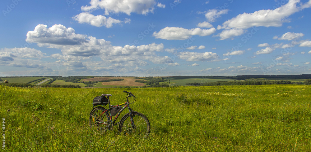 The bike is in the tall grass in field in summer