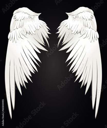 Wings. Vector illustration on white background. Black and white style
