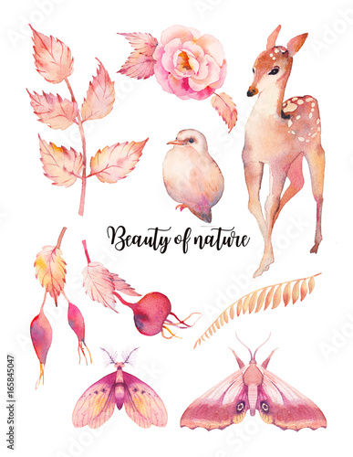 Hand painted floral elements and animals set. Watercolor botanical illustration of wild roses  berries  butterfly  fawn  bird and leaves. Natural objects isolated on white background