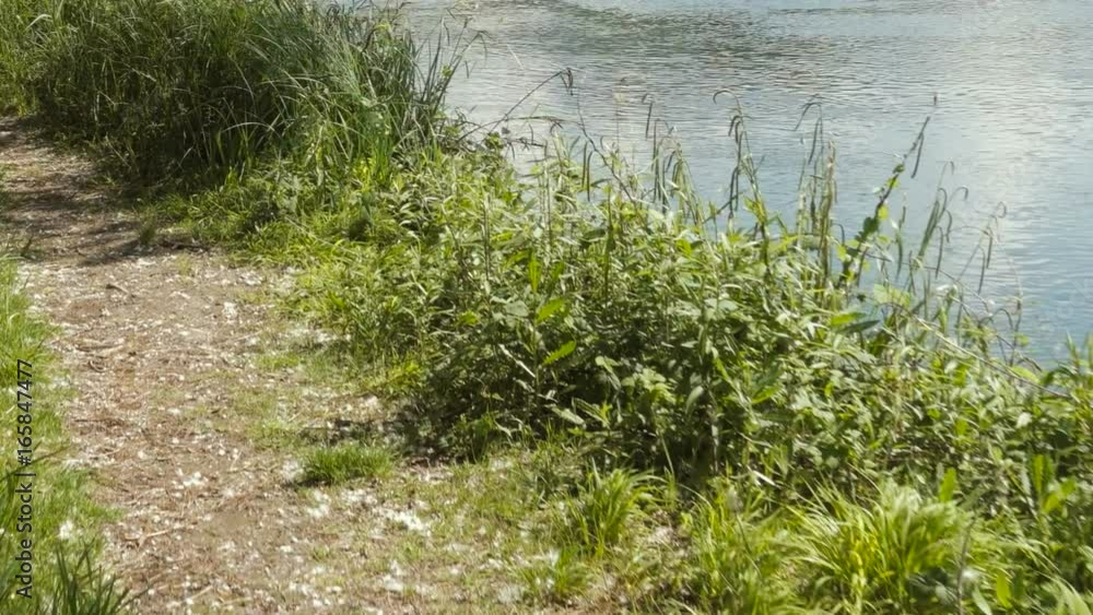 Slider Shot of a Footpath Towards the River in a Sunny Day in Italy Slider Shot of a Footpath Towards the River in a Sunny Day in Italy