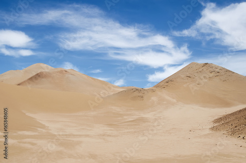 Endless sand dunes of the desert