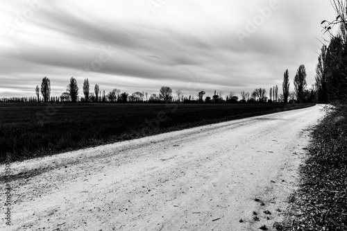 A country road in autumn, near a meadow with some tree and beneath a moody sky © Massimo