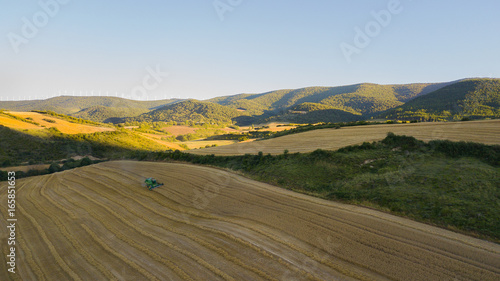 Campo de trigo en zona montañosa 