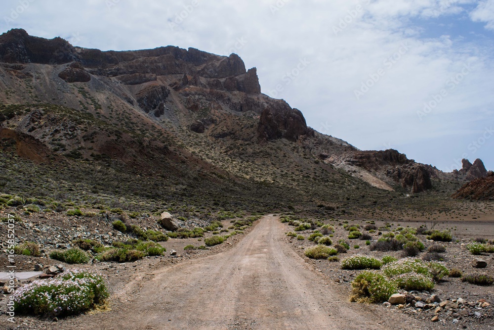 Road in the rocky mountains, route at volcano Teide, Tenerife, Canary Islands, Spain