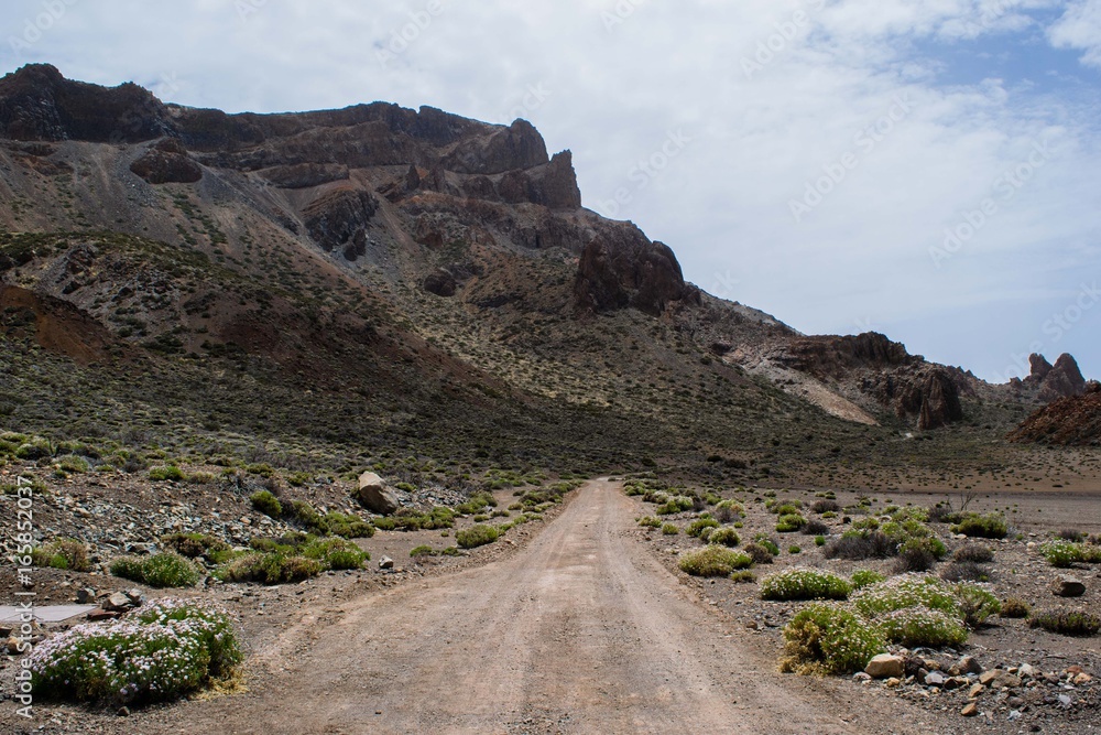 Road in the rocky mountains, route at volcano Teide, Tenerife, Canary Islands, Spain Road in the rocky mountains, route at volcano Teide, Tenerife, Canary Islands, Spain