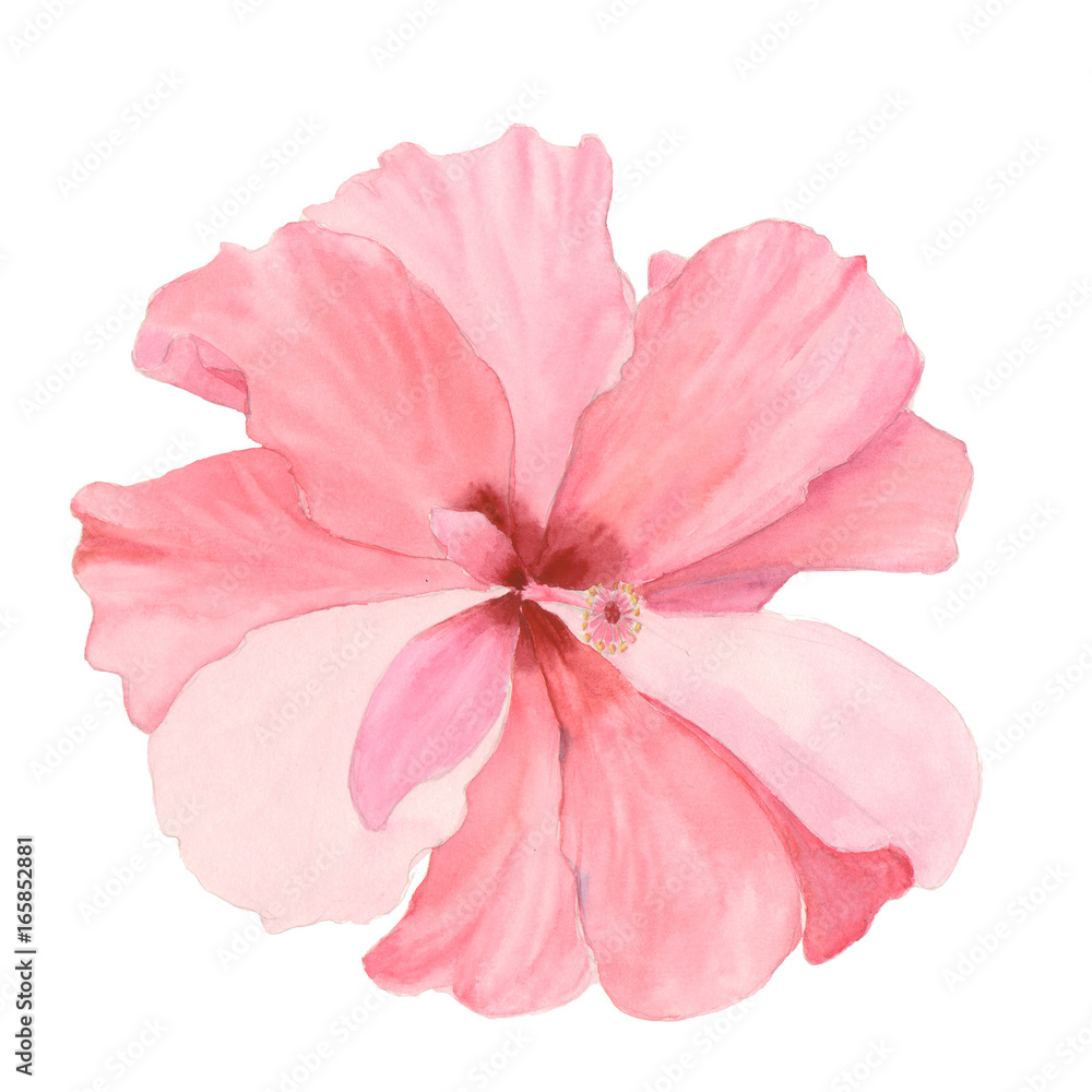 Watercolor red hibiscus. Hand painted exotic floral illustration with leaves isolated on white background. Tropic flower for design, print and fabric - obrazy, fototapety, plakaty 
