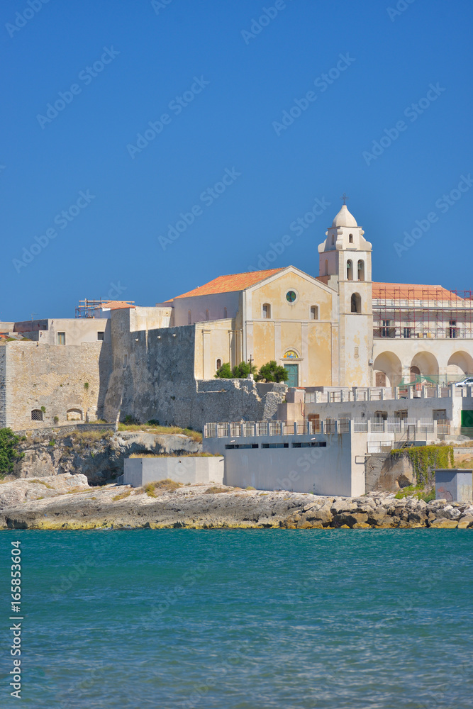 View at the houses from the coast of Vieste on a sunny day, Puglia region, Italy