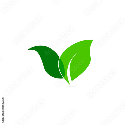 green leaf tree plant