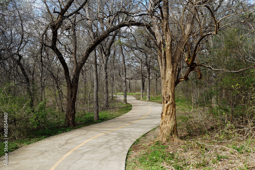 The path in the park on a sunny spring morning