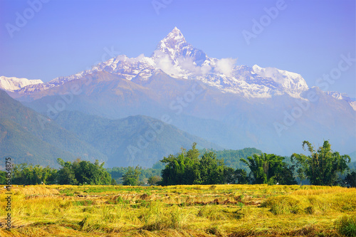Machapuchare mountain over the Pokhara valley. Rice fields and green trees under the mountain. Nepal landscape, Annapurna circuit, Himalaya range, Asia. Horizontal view
