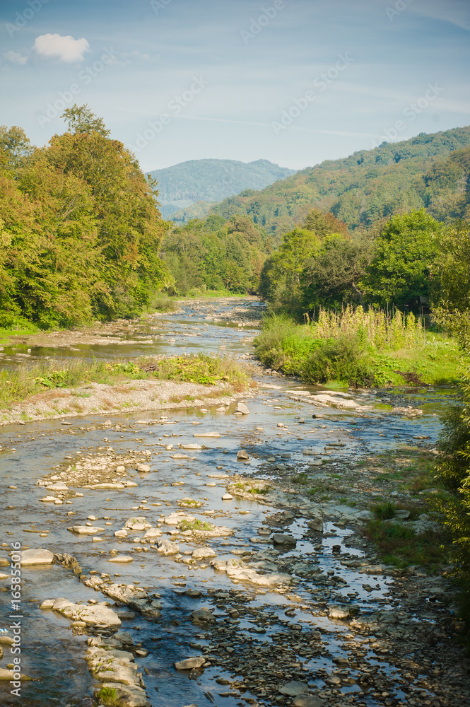 Beautiful mountain forest and river Beautiful mountain forest and river