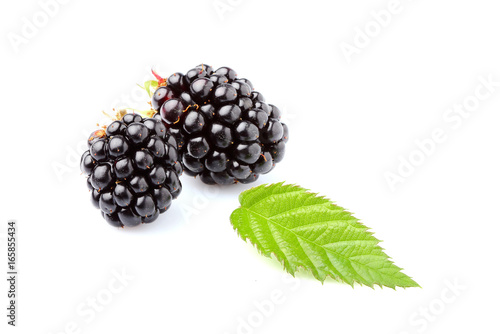 BlackBerry with leaf isolated closeup.