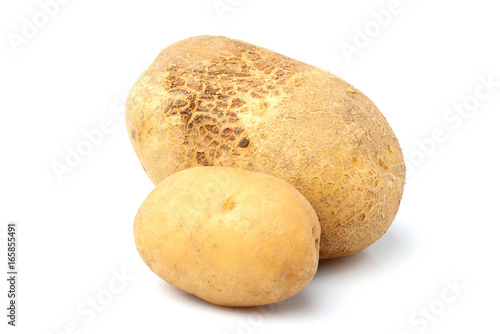 Raw potato vegetables isolated closeup.