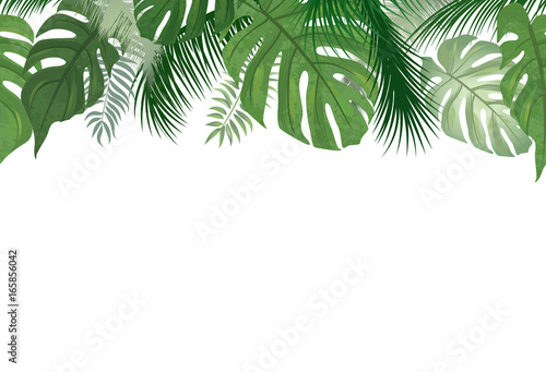Floral seamless pattern. Tropical leaf background. Palm tree leaves summer nature border