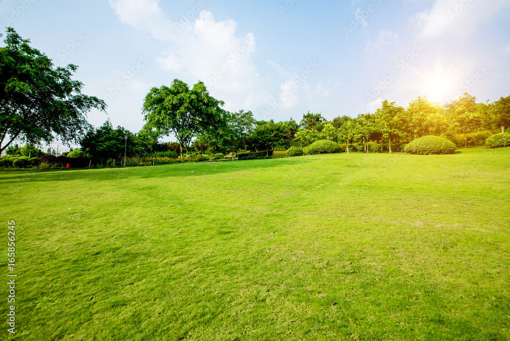 Grassland landscape and greening environment park background