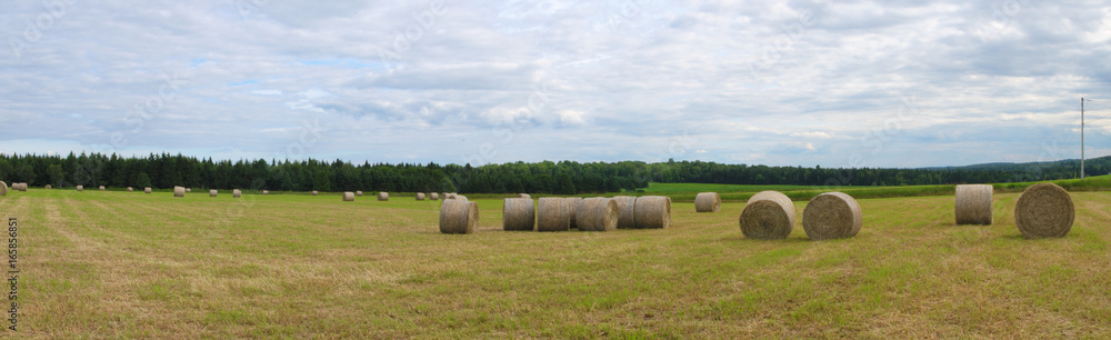 hay bale field farm agriculture rural landscape panoramic meadow