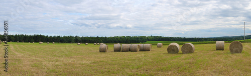 hay bale field farm agriculture rural landscape panoramic meadow