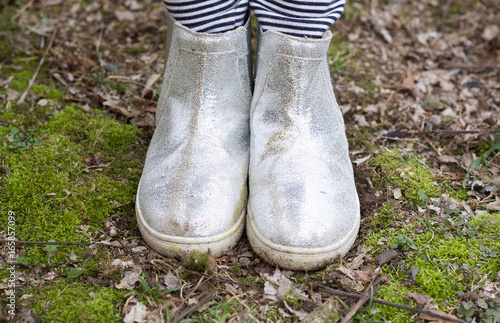 Silver Shoes in Moss