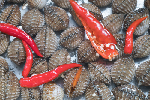 Fresh blood cockle or blood clam (Tegillarca granosa) background, shell seafood. How to clean the blood clam By putting fresh chillies into the water soaked clams to muddy out. photo