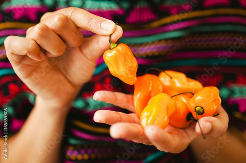 Fényképezés chile habanero en manos mexicanas, mexican food