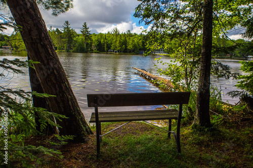 Park Bench with a Fallen Tree on a Lake