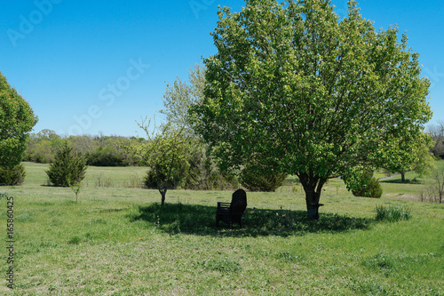 Кресло в тени дерева на ферме в солнечный весенний полдень