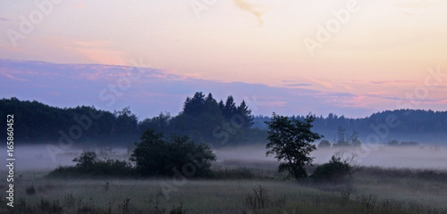 Summer sunset with fog