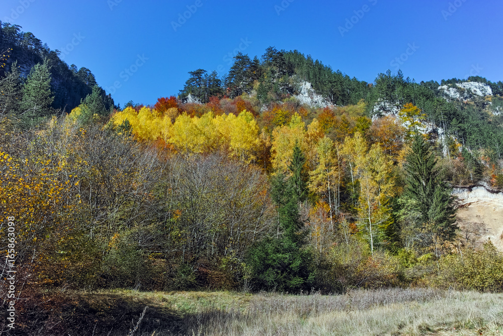 Panoramic Autumn view of Buynovsko gorge, Rhodope Mountains, Bulgaria Panoramic Autumn view of Buynovsko gorge, Rhodope Mountains, Bulgaria