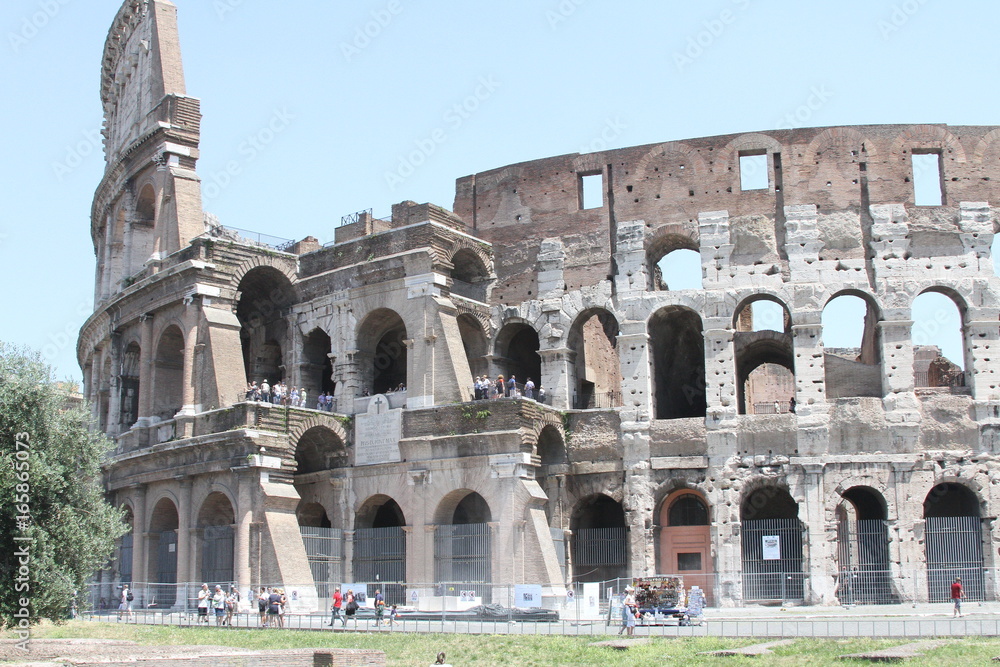 Fototapeta premium colosseum