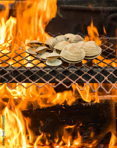 Clams in shell Grilling over Open Fire photo