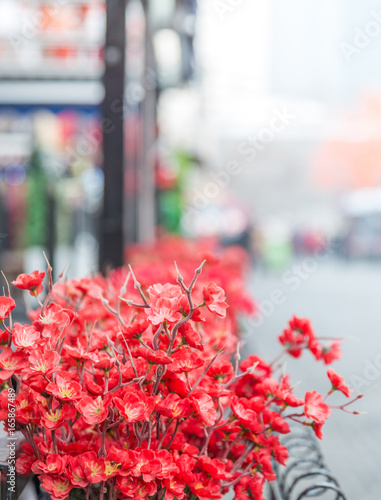 detail shot of decorative flowers along sidewalk.