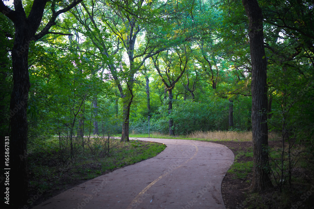 Concrete path in the park in summer Concrete path in the park in summer