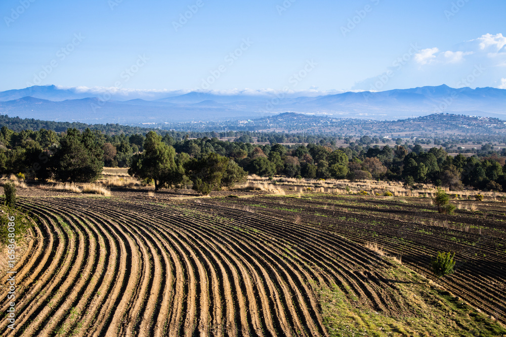 paisaje agricola