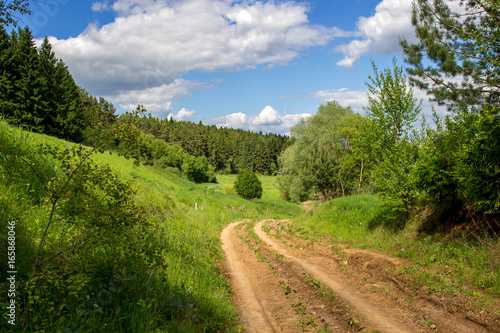 A dirt road near the forest 