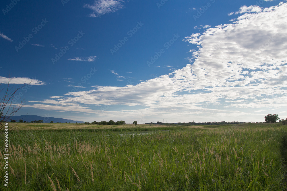 Nature summer landscape of grass valley with contrasting clouds and sky