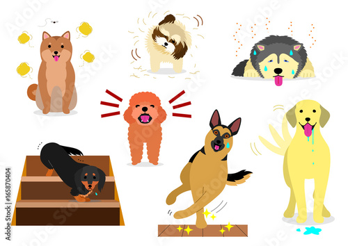 dogs having troubles in house