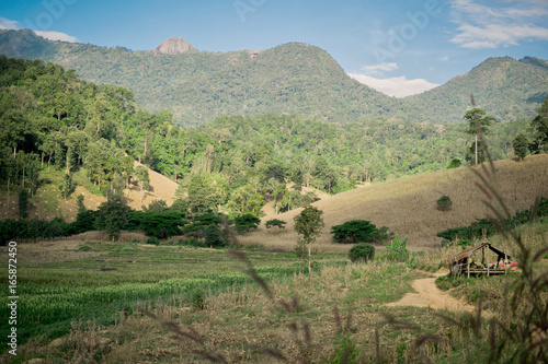 Viewpoint on Doi Nork at Doi Luang National Park, photo