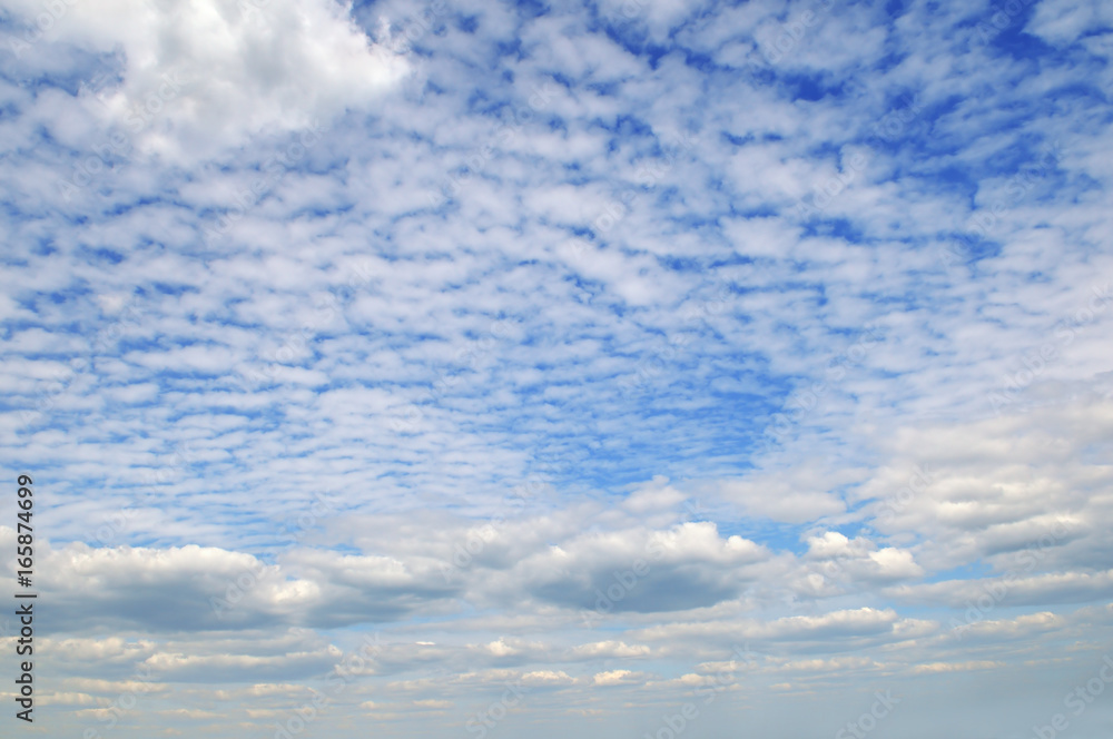 Fototapeta premium cumulus clouds in the blue sky