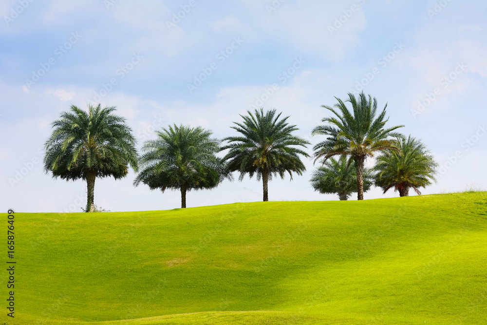 Nice golf place with nice green