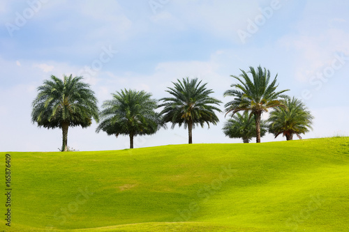 Nice golf place with nice green © NVB Stocker