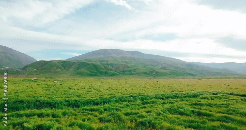 4K Aerial Flying over Green Field with Mountain in the Background 4K Aerial Flying over Green Field with Mountain in the Background