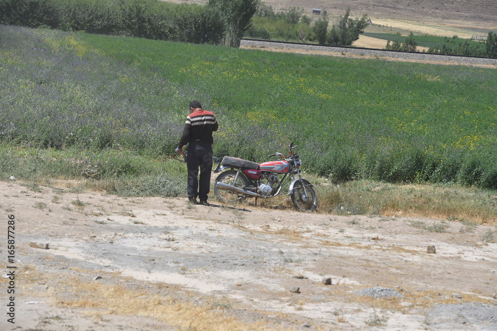 Obraz premium Wunderbares Persien